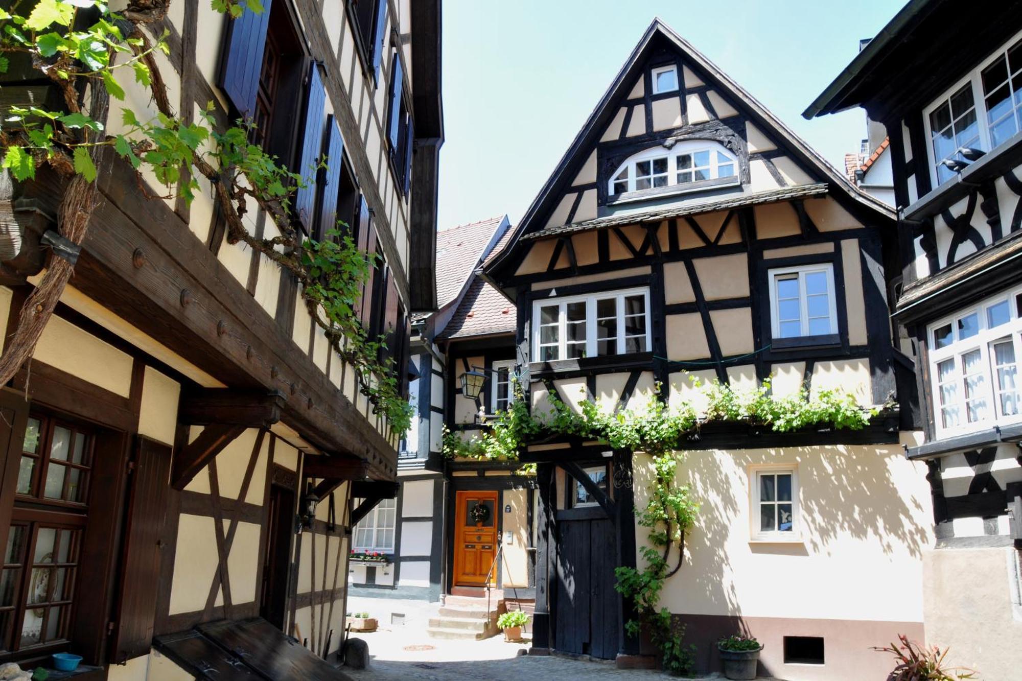 Ferienwohnung Sester 겐넨바흐 외부 사진