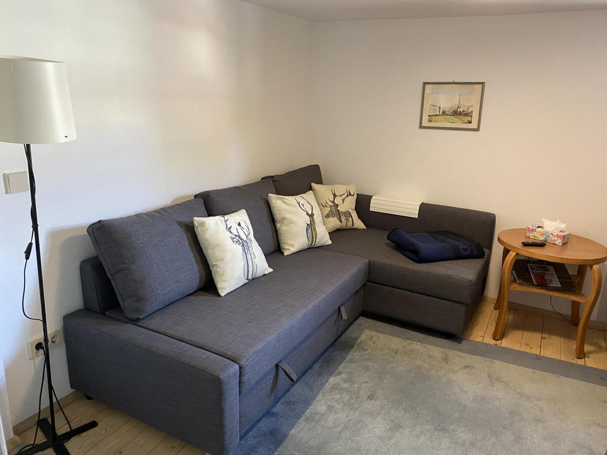 Ferienwohnung Sester 겐넨바흐 외부 사진