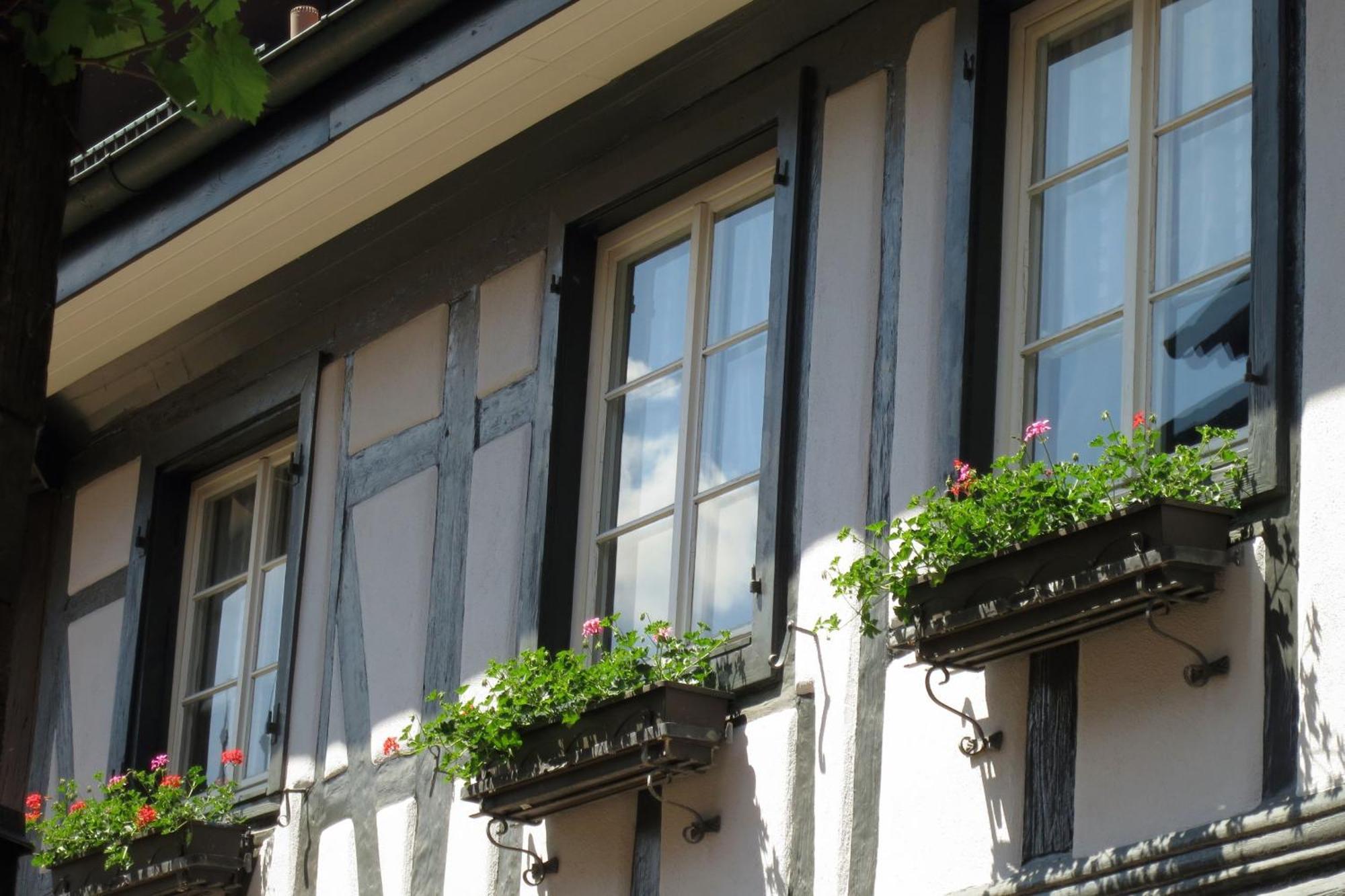 Ferienwohnung Sester 겐넨바흐 외부 사진